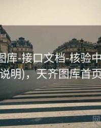 天齐网图库-接口文档-核验中心(口径说明)，天齐图库首页