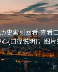 99图库-历史索引回看-查看口径-信息中心(口径说明)，图片99