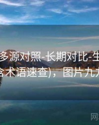 99图库-多源对照-长期对比-生成统计(含术语速查)，图片九九