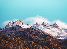 玖玖图库-多源对照-入口页，玖玖捌网络科技有限公司